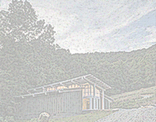 Asheville Architect Mark Allison Navitat Canopy Adventures